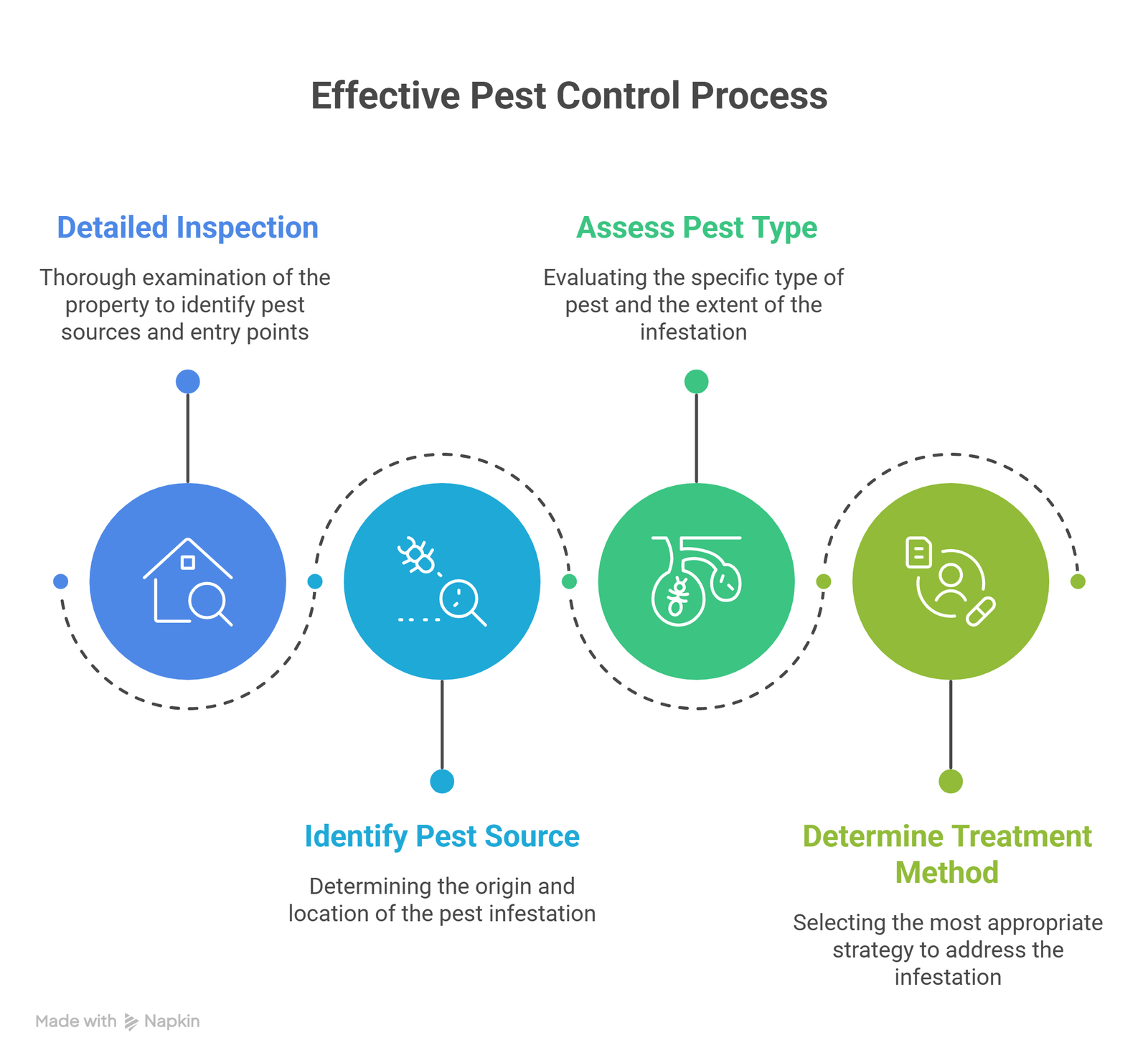 Infographics of Pest Control Process in Plant City