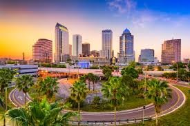 Pest control in Tampa Florida